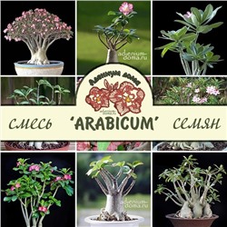 Adenium Arabicum MIXED