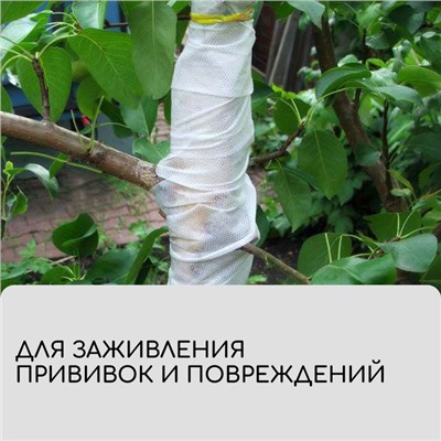 Лента для подвязки растений, 50 × 0.02 м, плотность 60 г/м², спанбонд с УФ-стабилизатором, белая, Greengo, Эконом 20%
