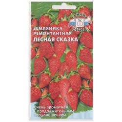 Земляника Лесная сказка (Код: 9577)