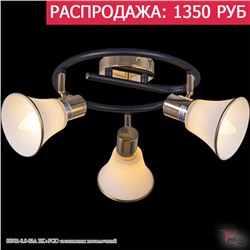 05901-0.8-03A BK+FGD светильник потолочный