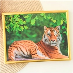 3Д картинка "Тигр в зеленом лесу" 14,5 х 19,5 см х Т-0019, голографическая открытка с изображением тигров, без фоторамки