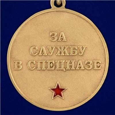 Медаль За службу в 29 ОСН "Булат" на подставке, №2931