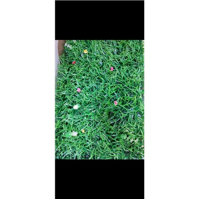 Искусственная трава газон самшитовый коврик