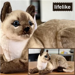 Реалистичная ,  моделированная плюшевая игрушка Сиамская кошка.40см