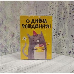 С Днем Рождения (котик), открытка с шоколадом