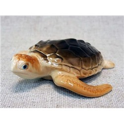 Морская черепаха, СЦ