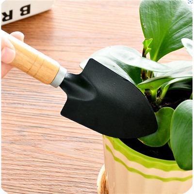 Набор мини- инструментов для комнатных растений (3 шт.)