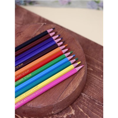 Набор цветных карандашей "Пейзаж" (набор 12в1)