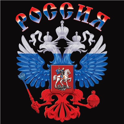 Чёрная мужская футболка с Двуглавым орлом, - для истинных патриотов России! №388*