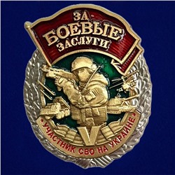 Знак "За боевые заслуги" участнику СВО, №2994