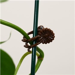 Клипса для растений «Цветы», набор 10 шт., коричневая