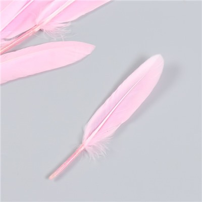 Набор декоративных перьев 60-150 мм (5 шт), светло-розовый