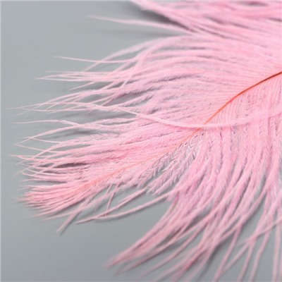 Перо страуса 200-250 мм, розовый