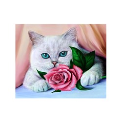 Кот с розой