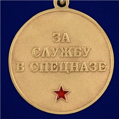 Медаль За службу в 30 ОСН "Святогор" в футляре из флока, №2934