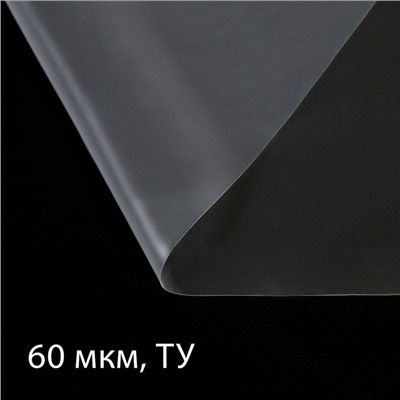 Плёнка полиэтиленовая, толщина 60 мкм, 10 × 3 м, рукав (1,5 м × 2), прозрачная, Эконом 50 %