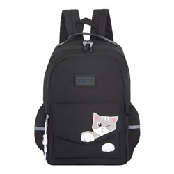 Рюкзаки Молодежный рюкзак MERLIN S108 черный