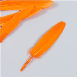 Набор декоративных перьев 60-150 мм (5 шт), оранжевый