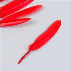 Набор декоративных перьев 60-150 мм (5 шт), красный
