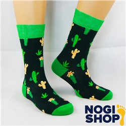 Носки мужские Lucky Socks