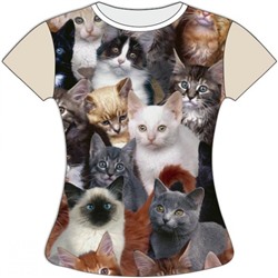 Женская футболка Много котиков