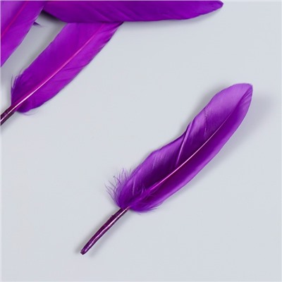 Набор декоративных перьев 60-150 мм (5 шт), светло-фиолетовый