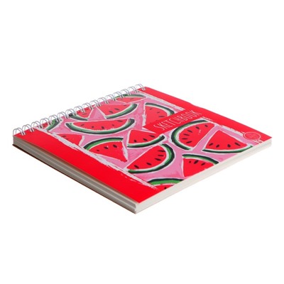 Скетчбук А6+, 40 листов на гребне "Арбузы", обложка мелованный картон, жёсткая подложка, блок 100 г/м²