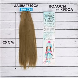 Волосы - тресс для кукол «Прямые» длина волос: 25 см, ширина:100 см, цвет № 24