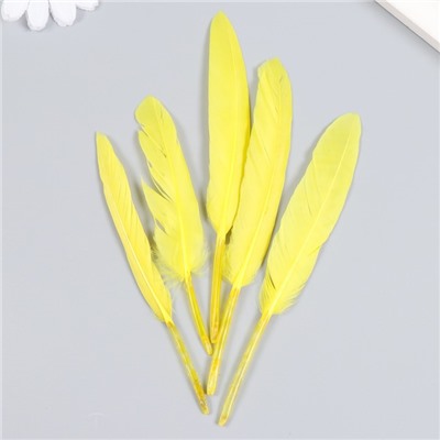 Набор декоративных перьев 60-150 мм (5 шт), жёлтый