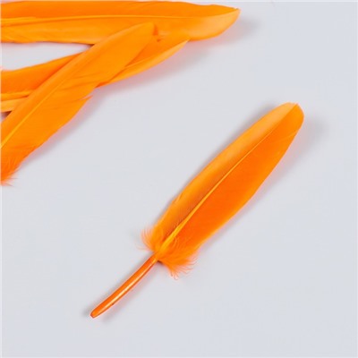 Набор декоративных перьев 60-150 мм (5 шт), оранжевый