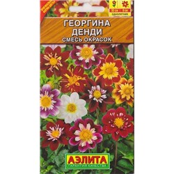 Георгина Денди (смесь) (Код: 6420)