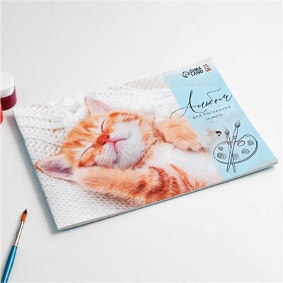 Альбом для рисования на скрепке, 24 листа "Котик"