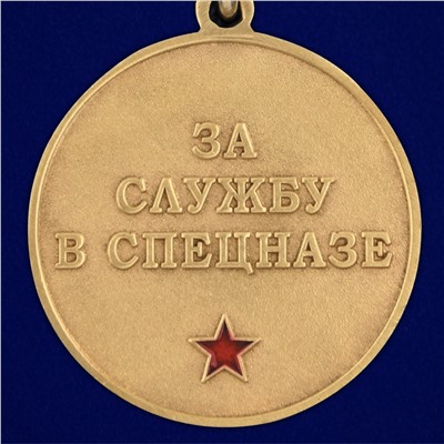 Медаль За службу в 35 ОСН "Русь" в футляре из флока, №2940
