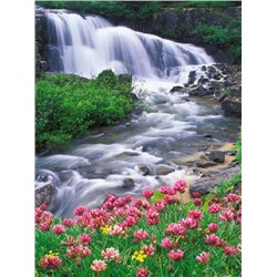 Цветы у горного водопада
