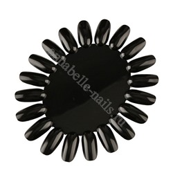 Палитра для лаков и дизайна «Ромашка» Черная, 20 цветов