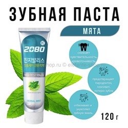 Зубная паста Dental Clinic 2080 Gingivalis Professional-strength Toothpaste MINT 120g (51)