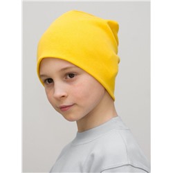 Шапка для мальчика (Цвет желтый), размер 46-48,  хлопок 95%