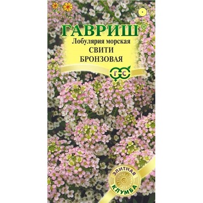 Лобулярия Свити бронзовая (Код: 89632)