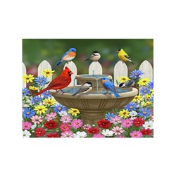 Птички у фонтана