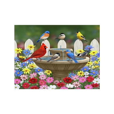 Птички у фонтана