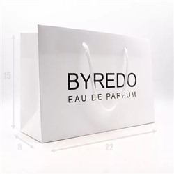 ПОДАРОЧНЫЙ ПАКЕТ BYREDO МАЛ. (22x15x8)