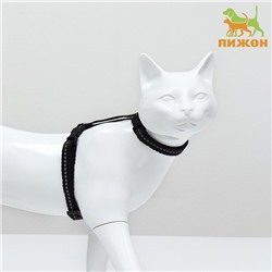 Шлейка для кошек, ширина 1 см, светоотражающий, ОШ 16,5-27 см, ОГ 21-35 см, чёрный