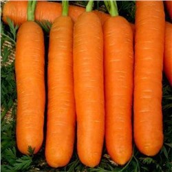 5146 Морковь Нанте 1г