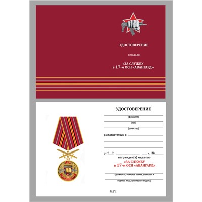 Медаль За службу в 17 ОСН "Авангард" в футляре из флока, №2935