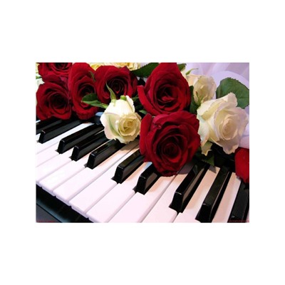 Розы на клавишах