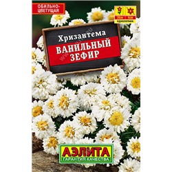 Хризантема Ванильный зефир (лидер) (Код: 91932)