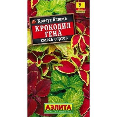 Колеус блюме Крокодил Гена (смесь сортов) (Аэлита)