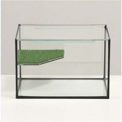 Террариум с покровным стеклом и мостиком 12 литров, 30 х 20 х 20 см