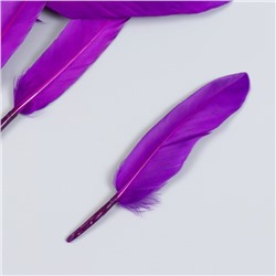 Набор декоративных перьев 60-150 мм (5 шт), светло-фиолетовый