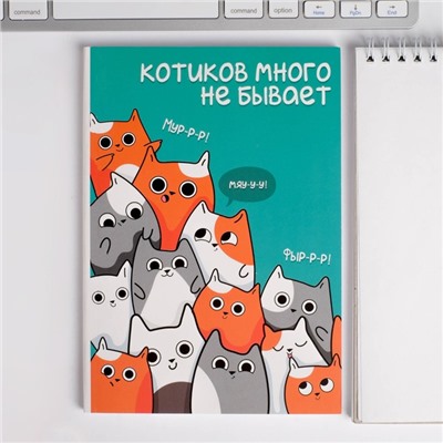 Набор: ежедневник и ручка  "Котиков много не бывает"